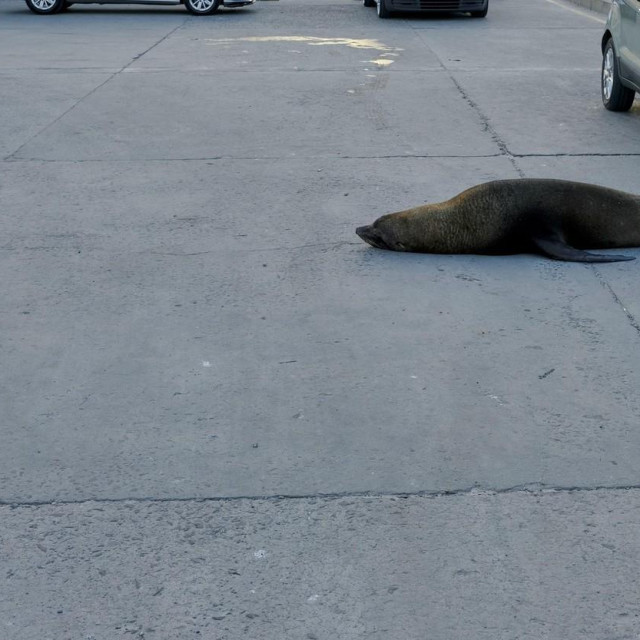 Ilustrativna fotografija