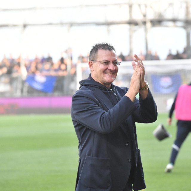 Damir Mišković