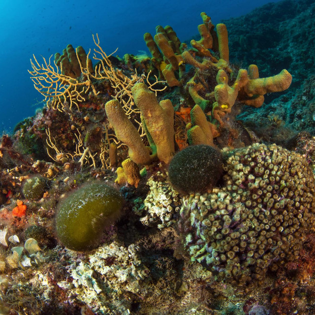 Ilustrativna fotografija