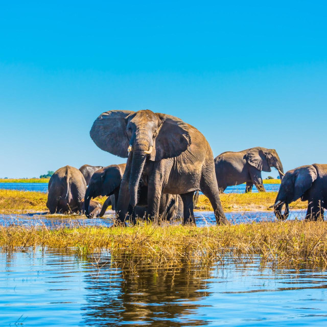 Ilustrativna fotografija