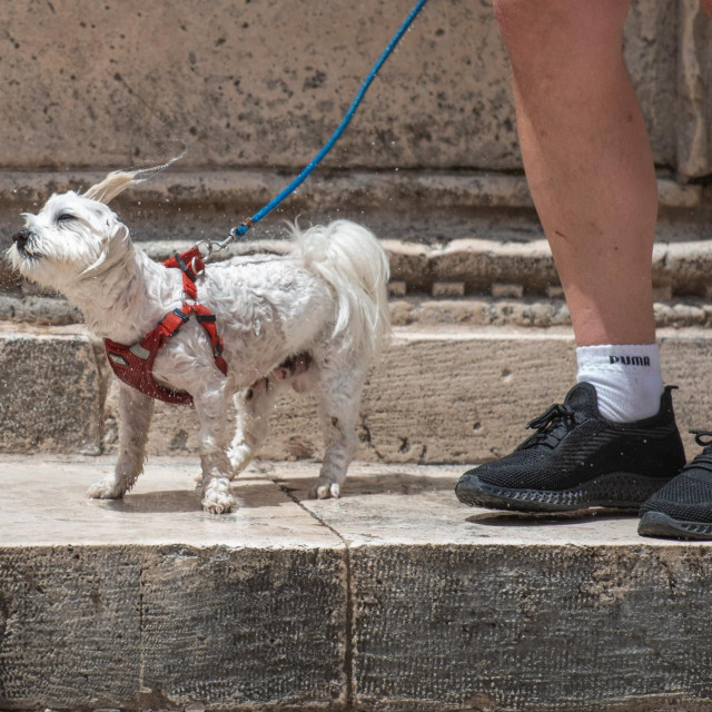 Ilustrativna fotografija