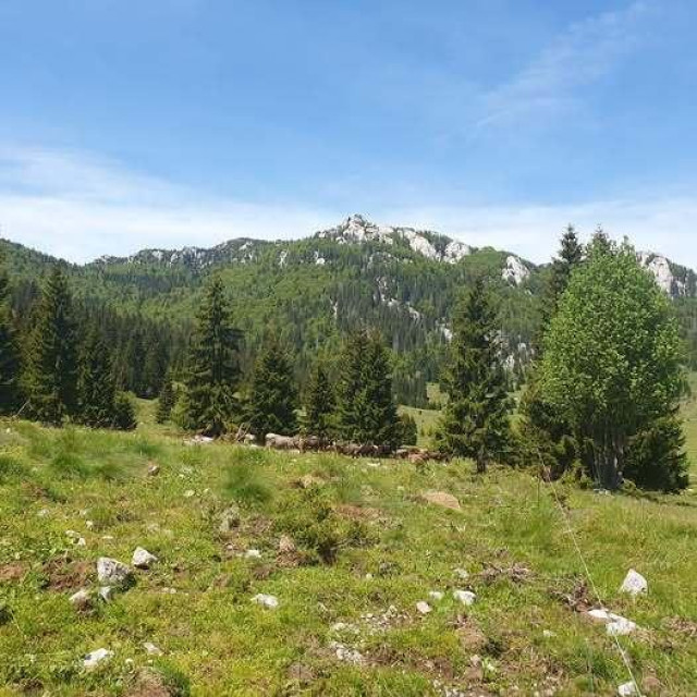 Nacionalni park Sjeverni Velebit