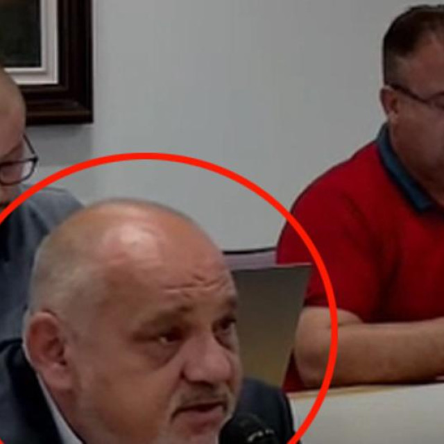 Gradonačelnik Dugog Sela Nenad Panian