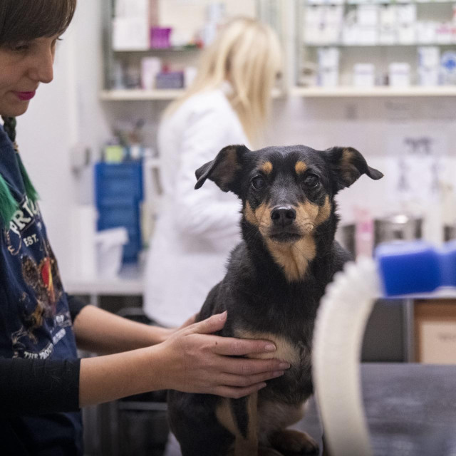 Ilustrativna fotografija