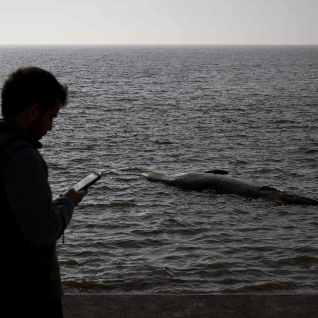 Kriju mali milijun zamki: mobilni telefoni