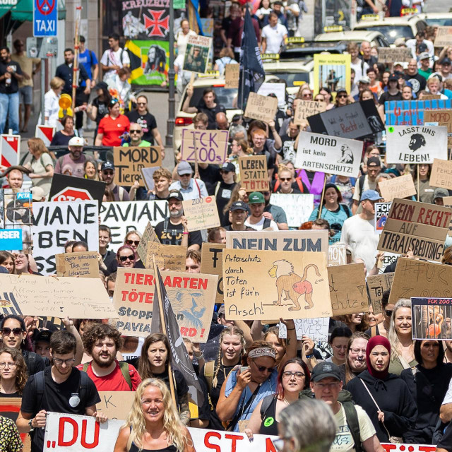 Protesti u Nürnbergu zbog ubijenih pavijana 