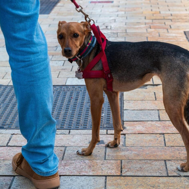 Ilustrativna fotografija