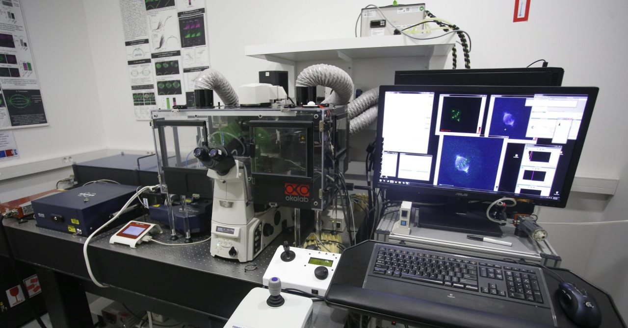 Hakeri napali server Instituta Ruđer Bošković