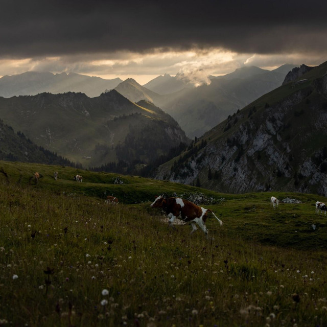 Švicarske Alpe, ilustracija