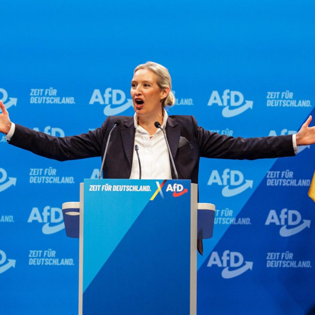 Alice Weidel, dopredsjednica stranke