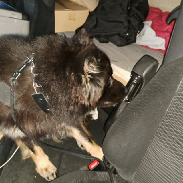 zaplijenjena gotovina