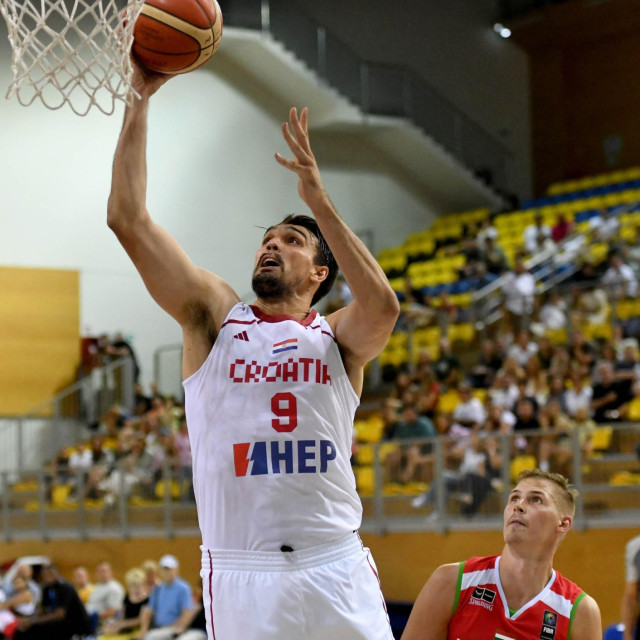 Dario Šarić (arhiva)