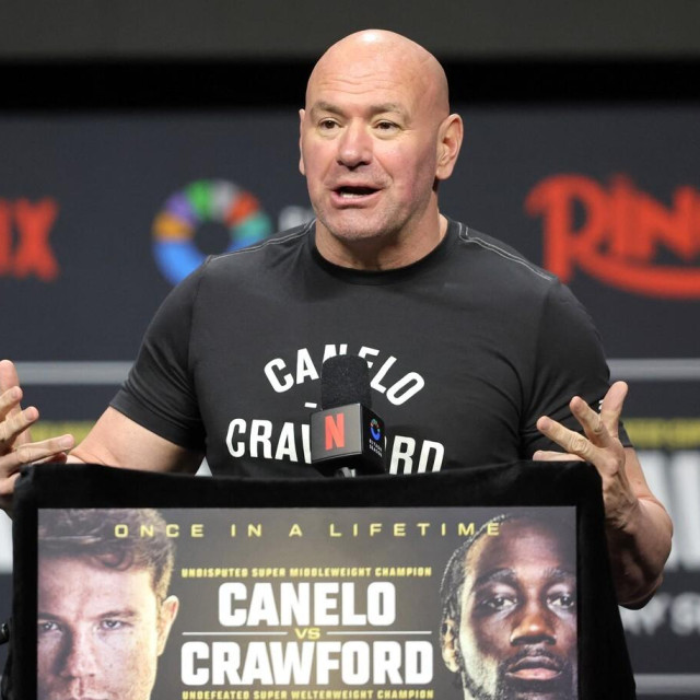 Dana White
