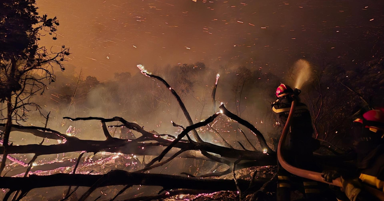 Velik požar zajel borov gozd na Braču, v gašenju sodelujejo tudi kanaderji