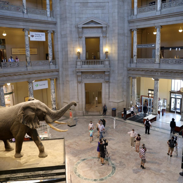 Nacionalni prirodoslovni muzej Smithsonian