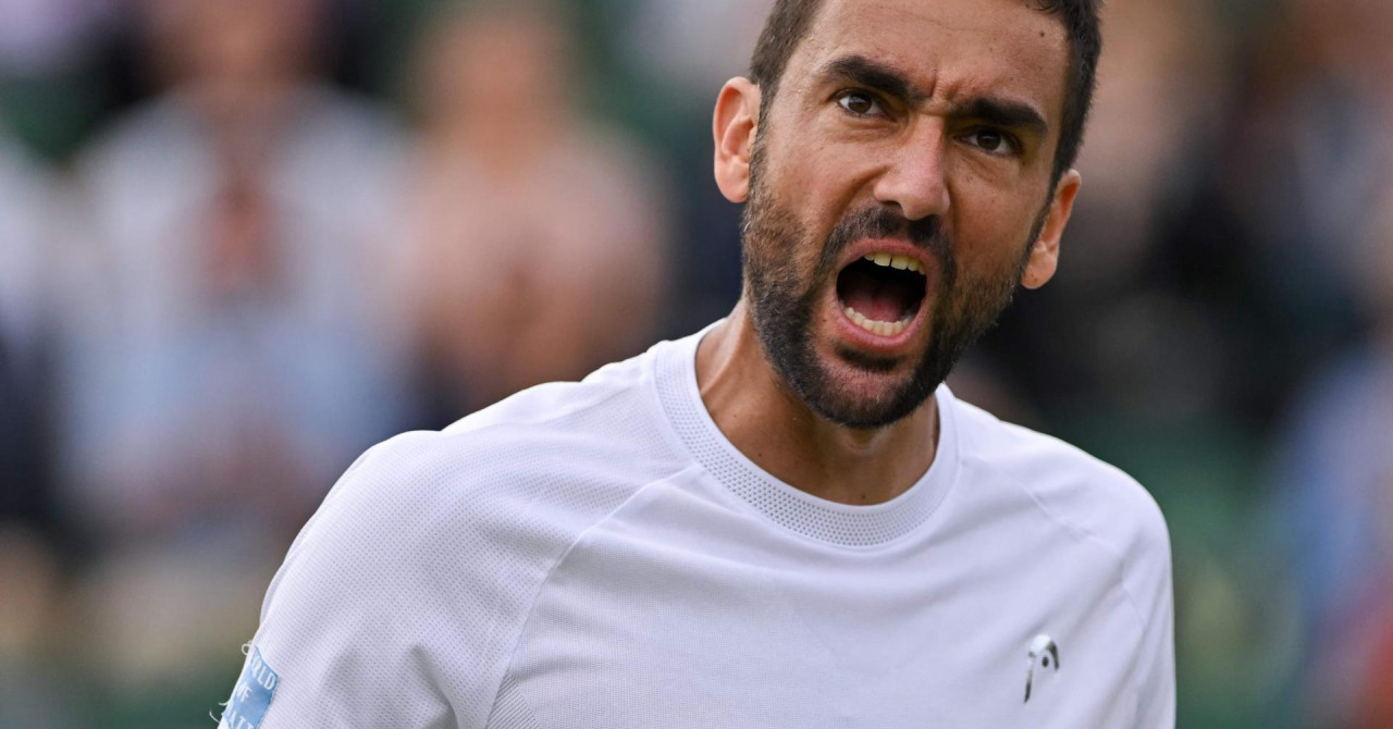 Čilić na Bublika u prvom kolu, Ćoriću sraz s Lehečkom. Vekić otvara protiv Bouzas