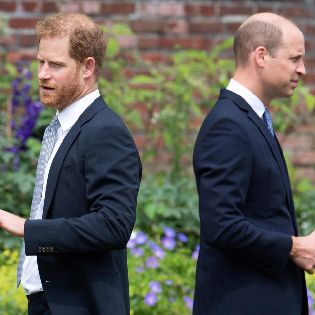 Princ Harry i princ William
