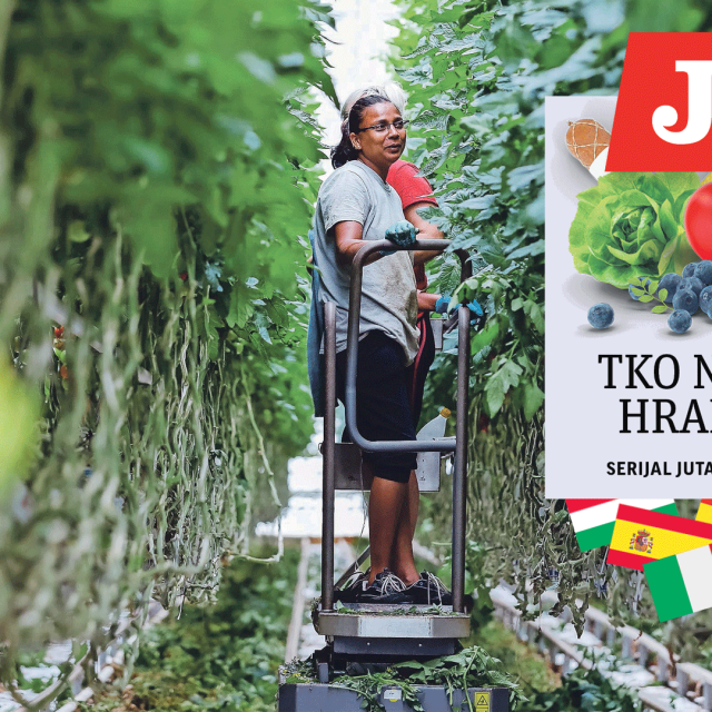 Tko nas hrani/ nasadi rajčica