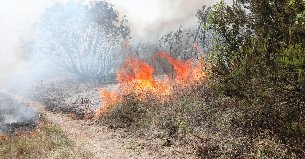Na Šolti izbio velik požar. Trenutačno ga gase vatrogasci i dva kanadera