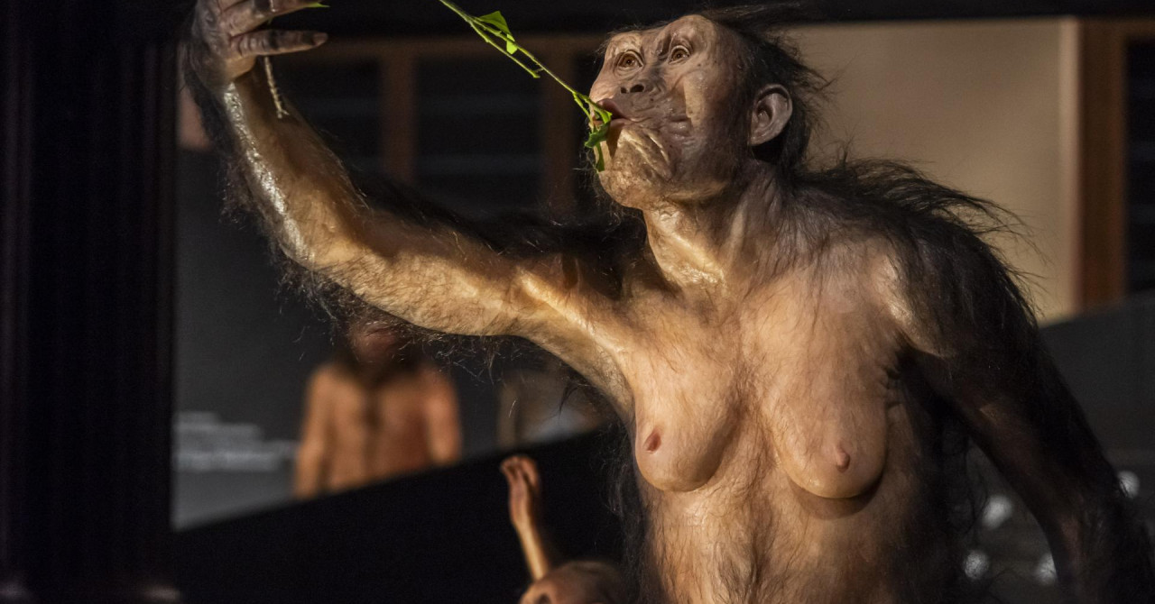 Ekskluzivno iz Praga: Ovako izgleda Lucy, živjela je prije milijun godina, nazvana je prema slavnoj pjesmi