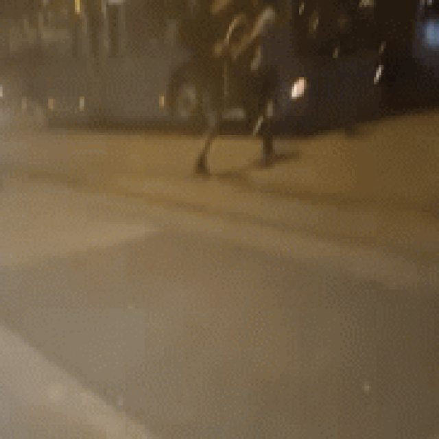 Obračun na Savskom mostu