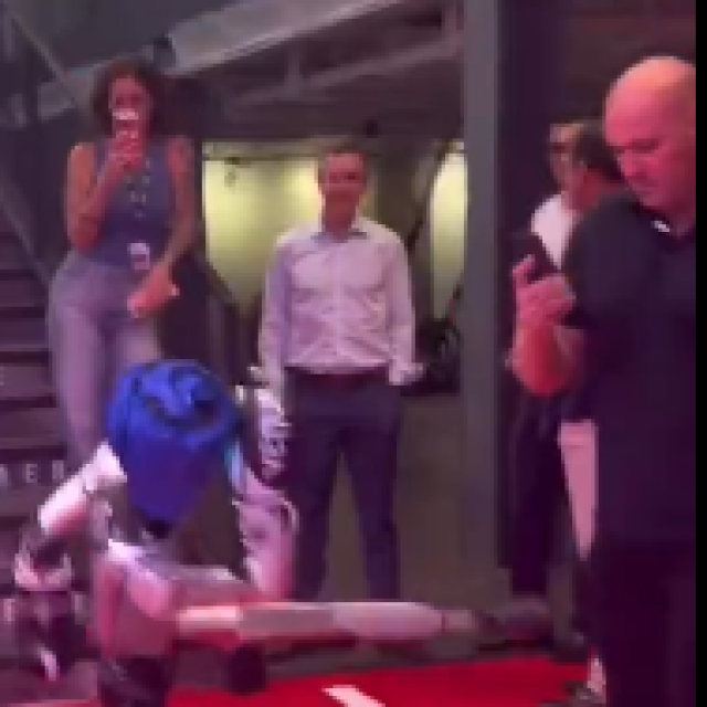 Dana White