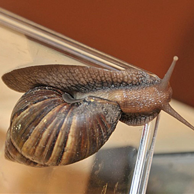 Ilustrativna fotografija