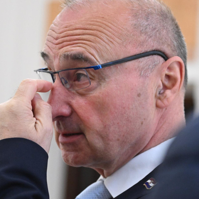 Gordan Grlić Radman