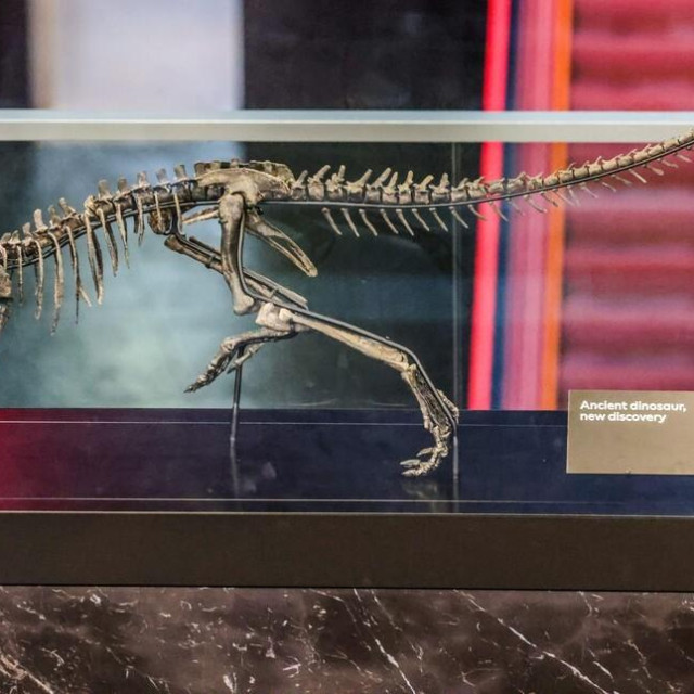 Ilustrativna fotografija