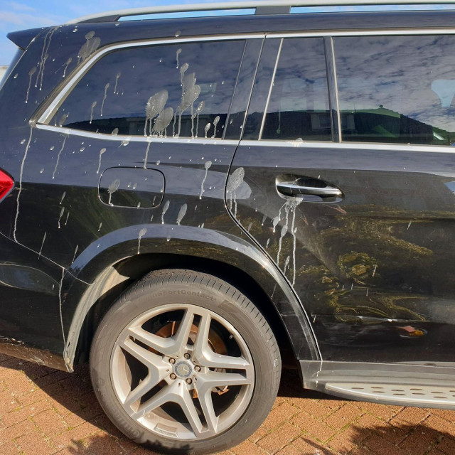 Ptičji izmet na autu