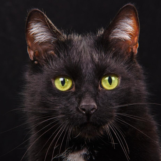 Ilustrativna fotografija