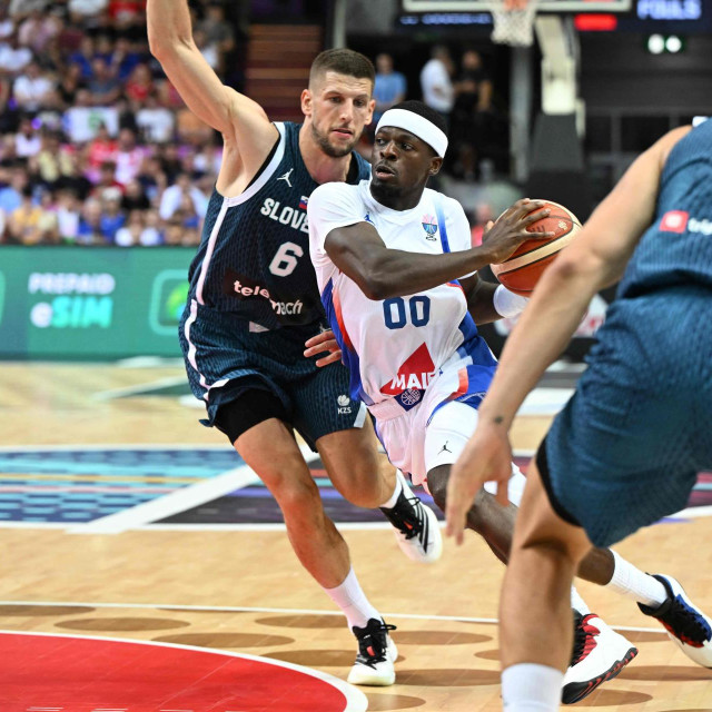 Slovenija - Francuska