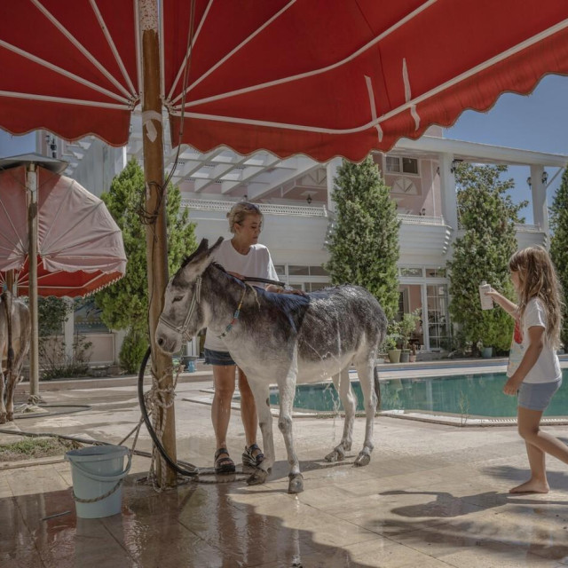 Ilustrativna fotografija