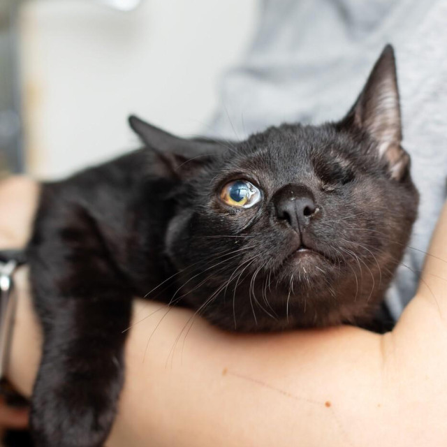 Ilustrativna fotografija