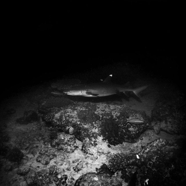 Ilustrativna fotografija