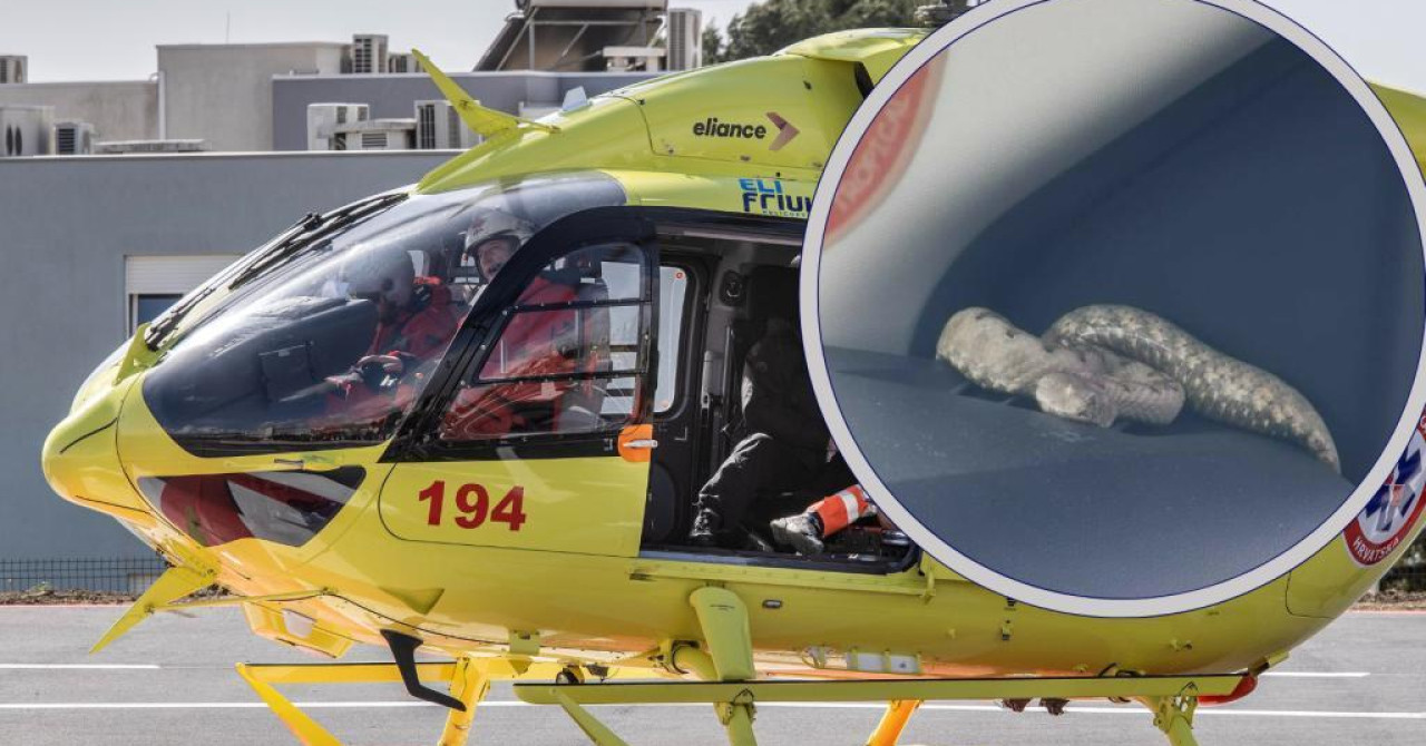 Djevojčicu (5) na Hvaru ugrizao poskok, hitno prebačena helikopterom u Split: Majka: ‘Bilo je užasno...‘