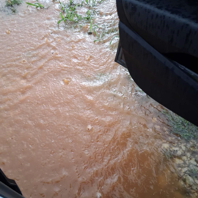 Prizori iz Novigrada