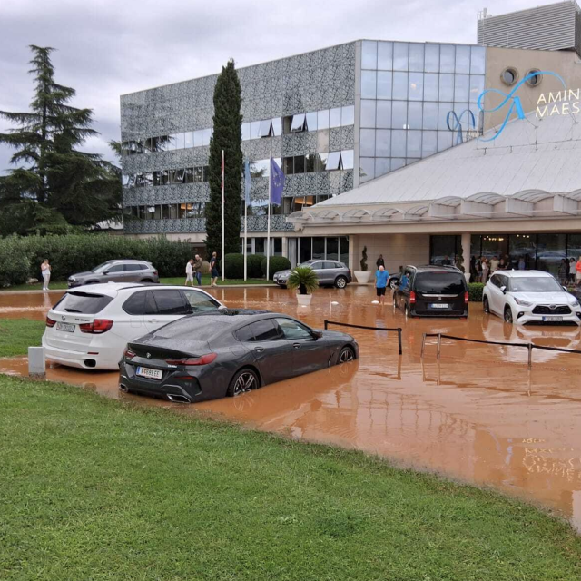 Prizori iz Novigrada