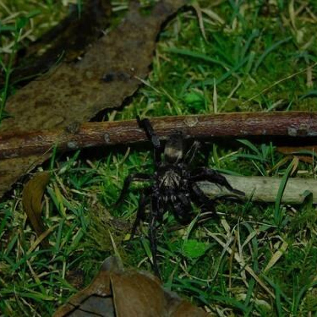 Ilustrativna fotografija