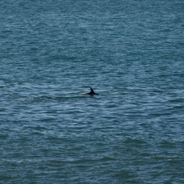 Ilustrativna fotografija