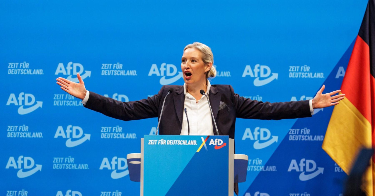 Desničarski AfD prvi put uživa podršku četvrtine biračkog tijela