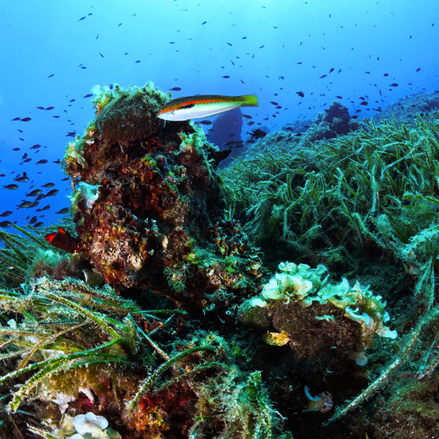 Ilustrativna fotografija