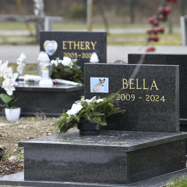 Prizor sa Spomengaja