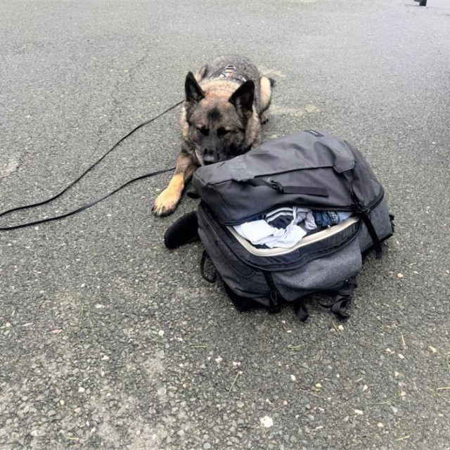 zaplijenjena droga na Kikovici