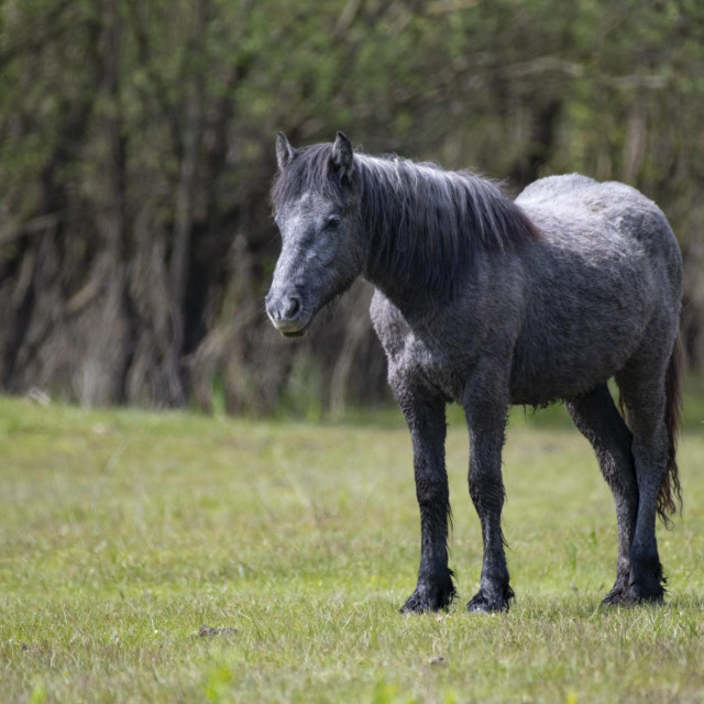 Ilustrativna fotografija