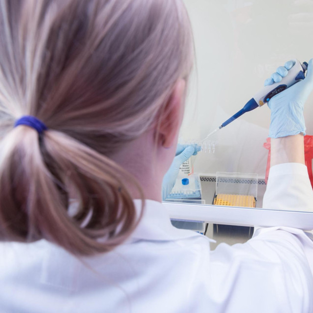 Sva ova otkrića pomažu pitanje: što uzrokuje da bezopasna stanica s oštećenom DNK preraste u potpuno razvijen kancerogeni tumor?