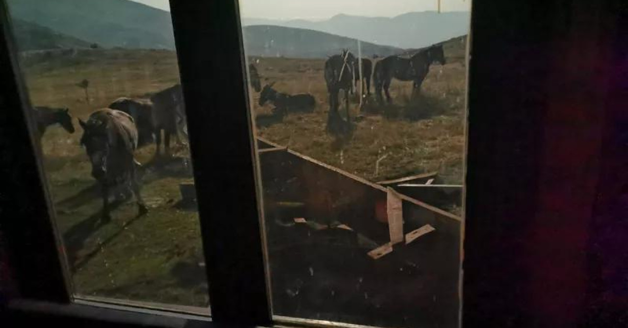 Zagrebački planinari: ‘Divlji konji napadali su cijelu noć, ujutro nas je dočekao jeziv prizor‘