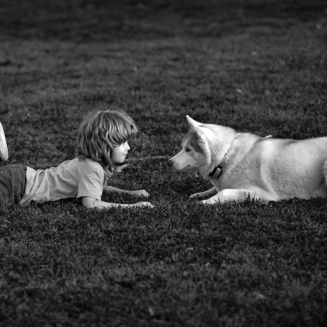 Ilustrativna fotografija