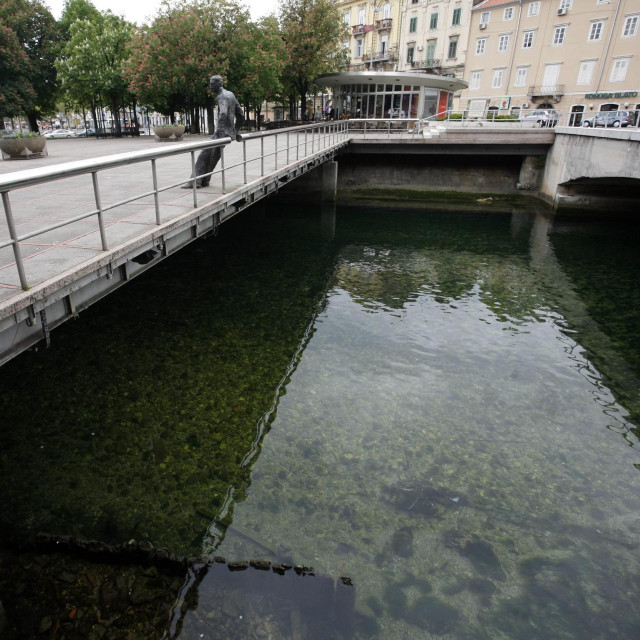 Most preko Riječine