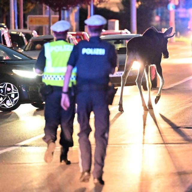 Emil u St. Pöltenu